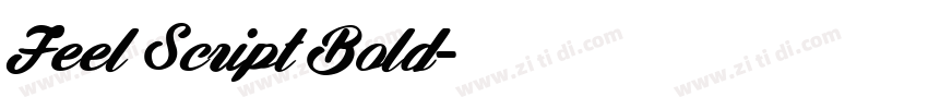 Feel Script Bold字体转换
